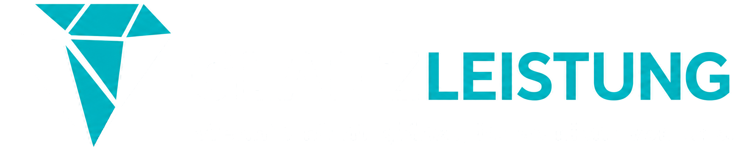 GLANZLEISTUNG – Wenn’s nicht glänzt, ist es nicht von uns.